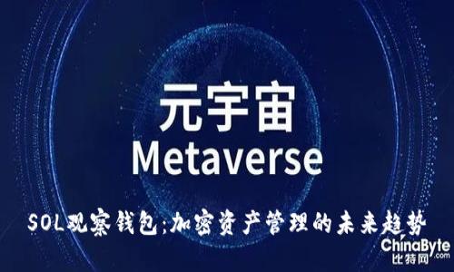 SOL观察钱包:加密资产管理的未来趋势