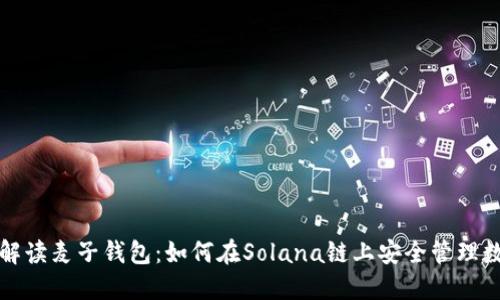 全方位解读麦子钱包:如何在Solana链上安全管理数字资产