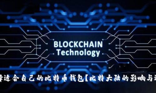 如何选择适合自己的比特币钱包?比特大陆的影响与选择指南