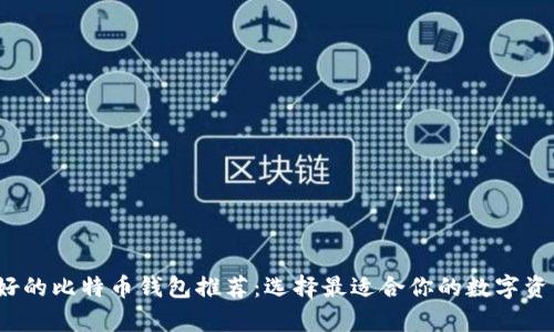 2023年最好的比特币钱包推荐:选择最适合你的数字资产存储方案