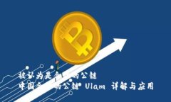 被认为是合法的公链 中国合法的公链 Ulam 详解与
