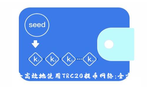 如何安全高效地使用TRC20提币网络:全方位指南