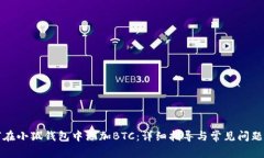 如何在小狐钱包中添加BTC:详细指导与常见问题