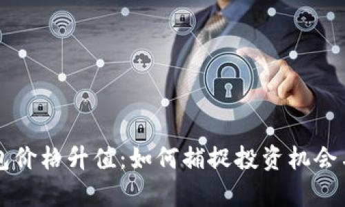 以太坊钱包价格升值:如何捕捉投资机会与风险分析