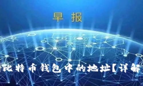 : 如何查询比特币钱包中的地址?详解方法与技巧