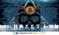 STEP'N钱包SOL转换不见了,如何解决和预防?