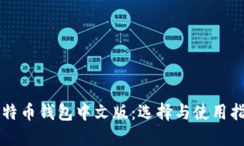 比特币钱包中文版:选择与使用指南