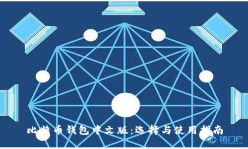 比特币钱包中文版:选择与使用指南