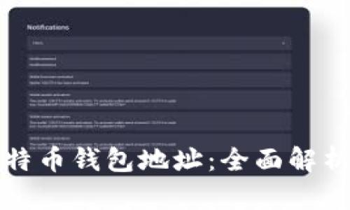 如何查看比特币钱包地址:全面解析与使用指南