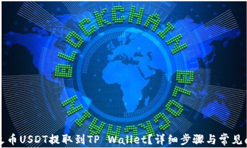 如何将火币USDT提取到TP Wallet?详细步骤与常见问题解析
