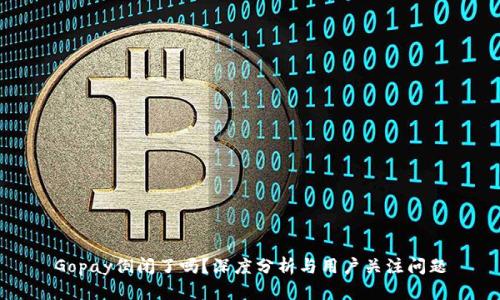 Gopay倒闭了吗?深度分析与用户关注问题