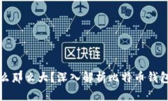 比特币钱包为什么那么大?深入解析比特币钱包