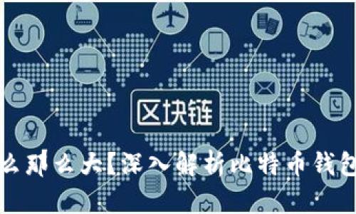 比特币钱包为什么那么大?深入解析比特币钱包的容量与安全性