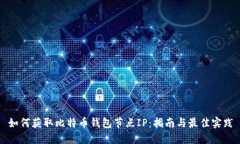 如何获取比特币钱包节点IP:指南与最佳实践