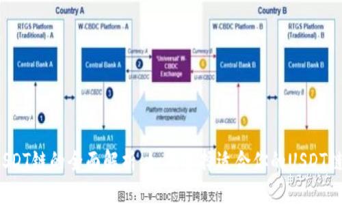 USDT链的全面解析:如何选择适合你的USDT链?