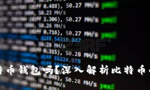 警察可以查封比特币钱包吗?深入解析比特币的法律与执法问题