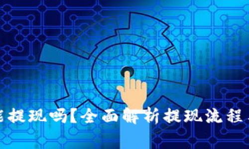 数字钱包能提现吗?全面解析提现流程与注意事项