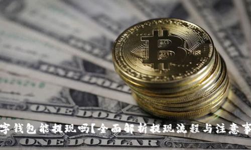 数字钱包能提现吗?全面解析提现流程与注意事项