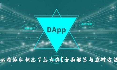 比特派私钥忘了怎么办?全面解答与应对方法