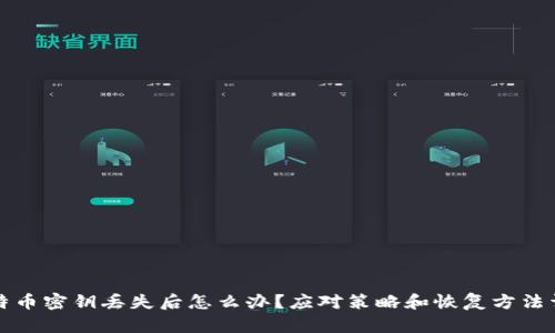 比特币密钥丢失后怎么办?应对策略和恢复方法详解