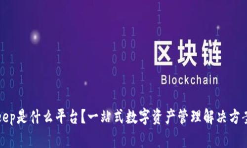 Bitkeep是什么平台?一站式数字资产管理解决方案解析