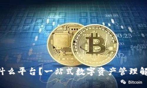 Bitkeep是什么平台?一站式数字资产管理解决方案解析