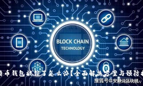 比特币钱包被锁了怎么办?全面解决方案与预防措施