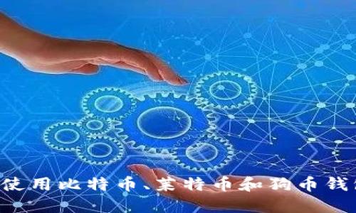 如何选择和使用比特币、莱特币和狗币钱包:完整指南