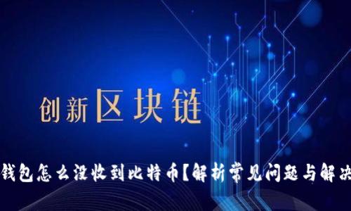 比太钱包怎么没收到比特币?解析常见问题与解决方案