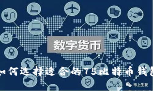 如何选择适合的75比特币钱包?
