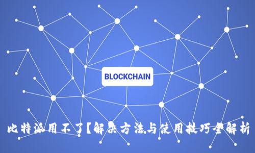 比特派用不了?解决方法与使用技巧全解析