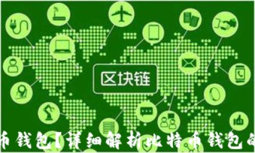 什么是比特币钱包?详细解析比特币钱包的类型与功能