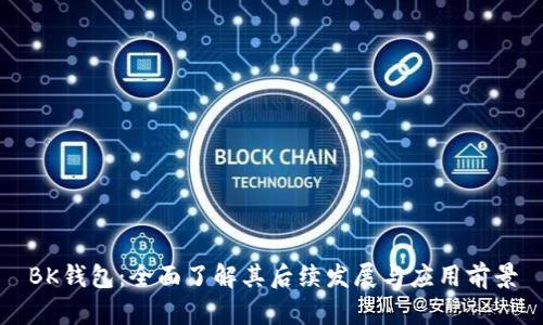 BK钱包:全面了解其后续发展与应用前景