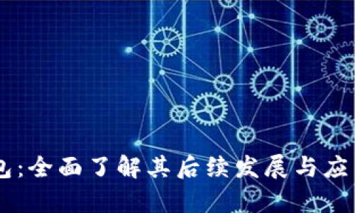 BK钱包:全面了解其后续发展与应用前景