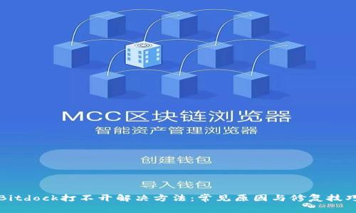 Bitdock打不开解决方法:常见原因与修复技巧