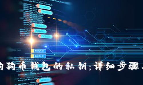 如何查看狗狗币钱包的私钥:详细步骤与注意事项
