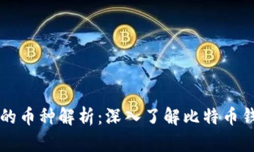 比特币钱包存放的币种解析:深入了解比特币钱包的功能与类型