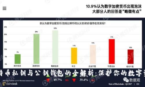 比特币私钥与公钥钱包的全解析:保护你的数字资产