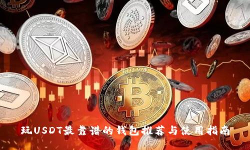 玩USDT最靠谱的钱包推荐与使用指南
