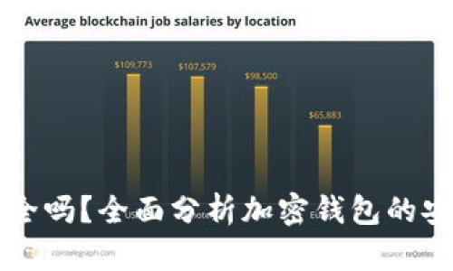 美国加密钱包安全吗?全面分析加密钱包的安全性与选择指南