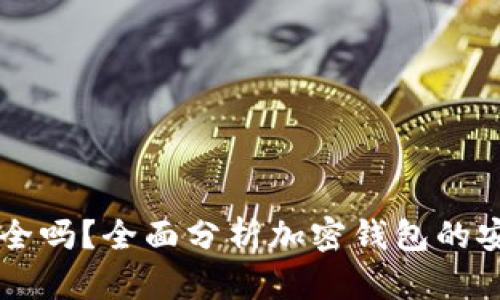 美国加密钱包安全吗?全面分析加密钱包的安全性与选择指南