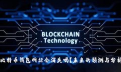 比特币钱包网站会消失吗？未来的预测与分析