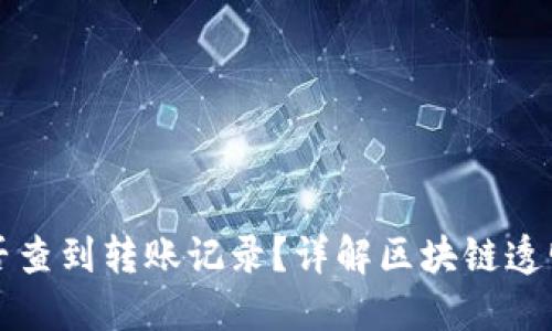 虚拟币地址能否查到转账记录?详解区块链透明性与隐私保护