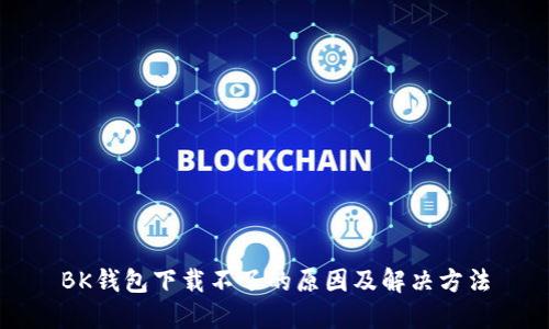 BK钱包下载不了的原因及解决方法