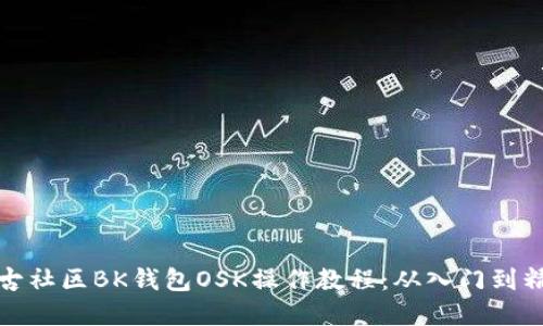 盘古社区BK钱包OSK操作教程:从入门到精通