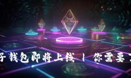 五行币电子钱包即将上线 | 你需要了解的一切
