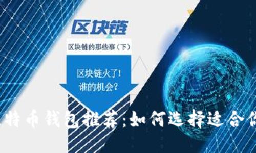 ```xml
2023年最佳比特币钱包推荐:如何选择适合你的比特币钱包
