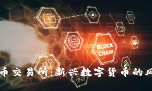 盛源币交易所:新兴数字货币的风向标