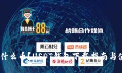 USDT是什么币?USDT钱包下载指南与使用技巧