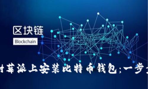 如何在树莓派上安装比特币钱包:一步步的指南